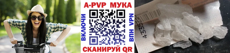 ОМГ ОМГ рабочий сайт  Нестеров  А ПВП крисы CK 