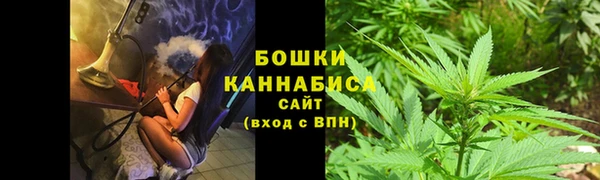 PSILOCYBIN Алексин