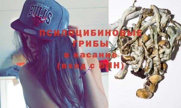 PSILOCYBIN Алексин