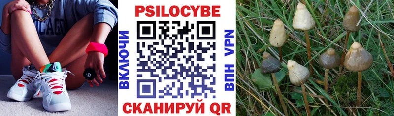Псилоцибиновые грибы Magic Shrooms  Нестеров 